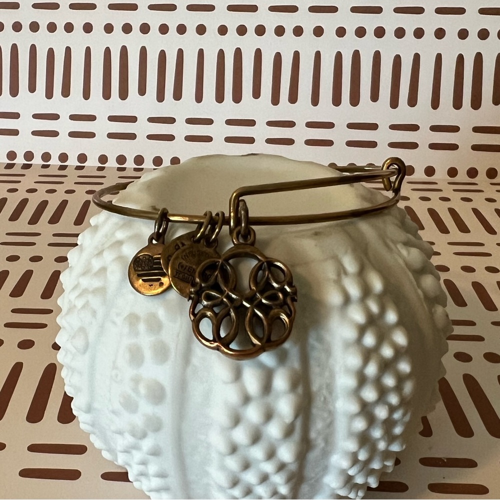 Alex and Ani Path of Life Infinity Gold Bangle